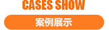 案例展示